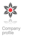 Company profile